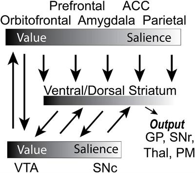 Neural signals implicated in the processing of appetitive and aversive events in social and non-social contexts